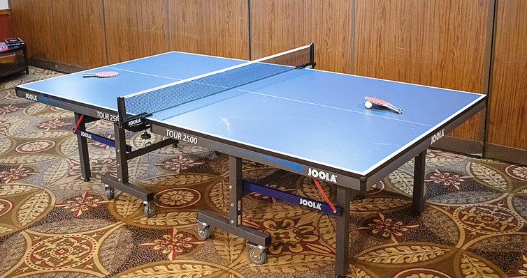 Table Tennis Table 